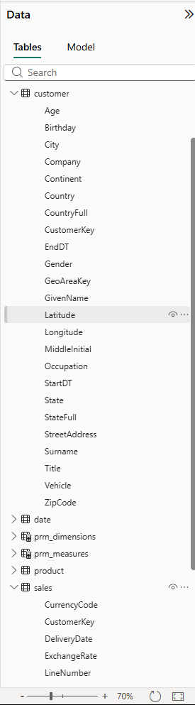 Data pane showing the customer table expanded with 20+ columns including Latitude, Longitude, StreetAddress, Vehicle, ZipCode